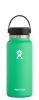 Hydro Flask - 32oz Spearmint Wide Mouth
