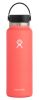 Hydro Flask - 40oz Hibiscus Wide Mouth 2.0 Flex Cap