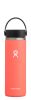 Hydro Flask - 20oz Hibiscus Wide Mouth
